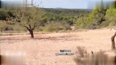 骑行圈乱象！美女荒郊野岭勾引骑友 露天做爱刺激开啪